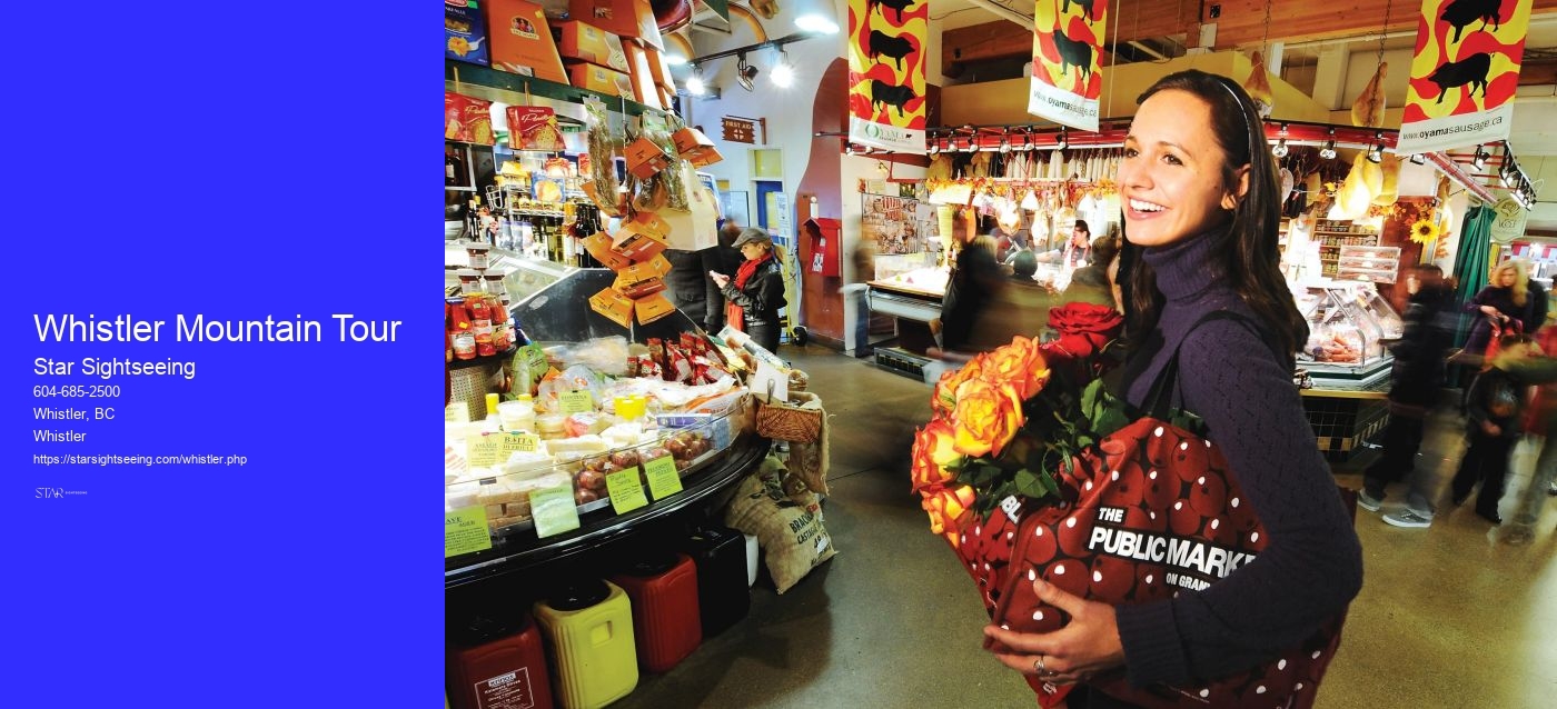 Whistler Mountain Tour