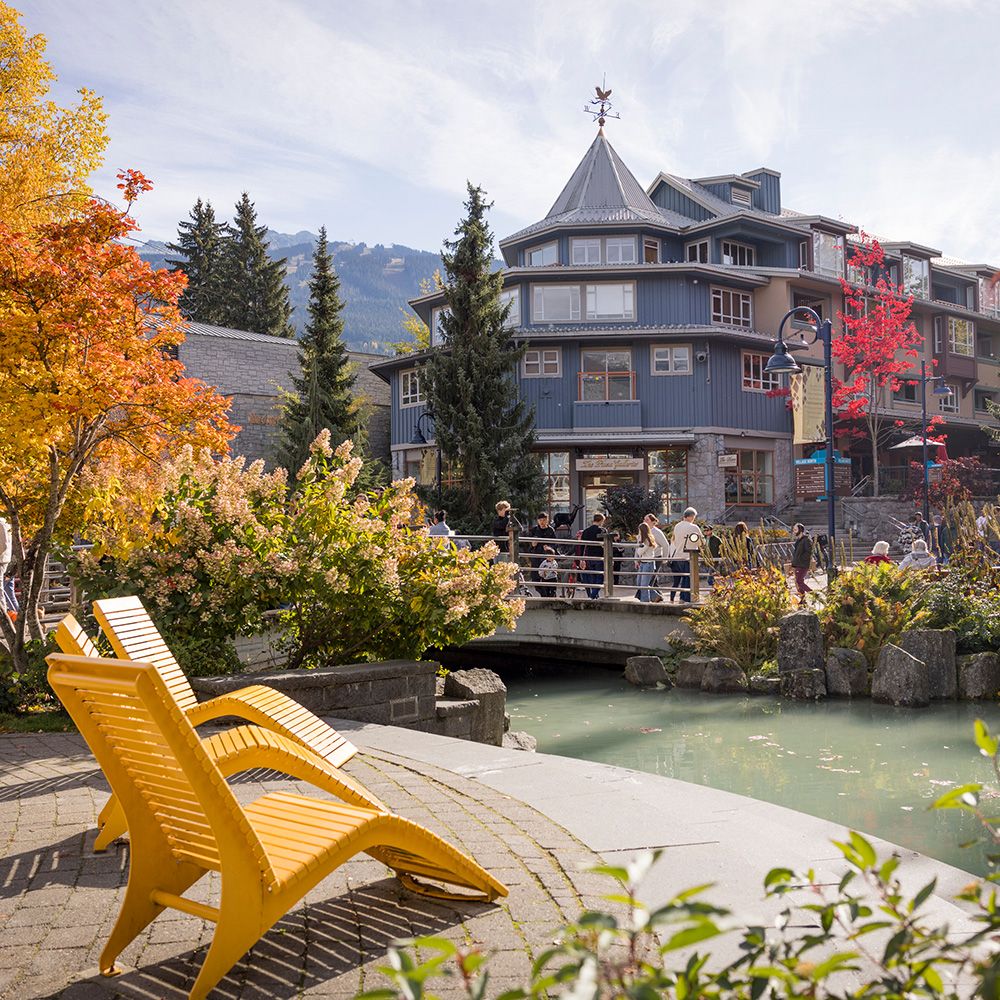 Local companies offering Whistler tours