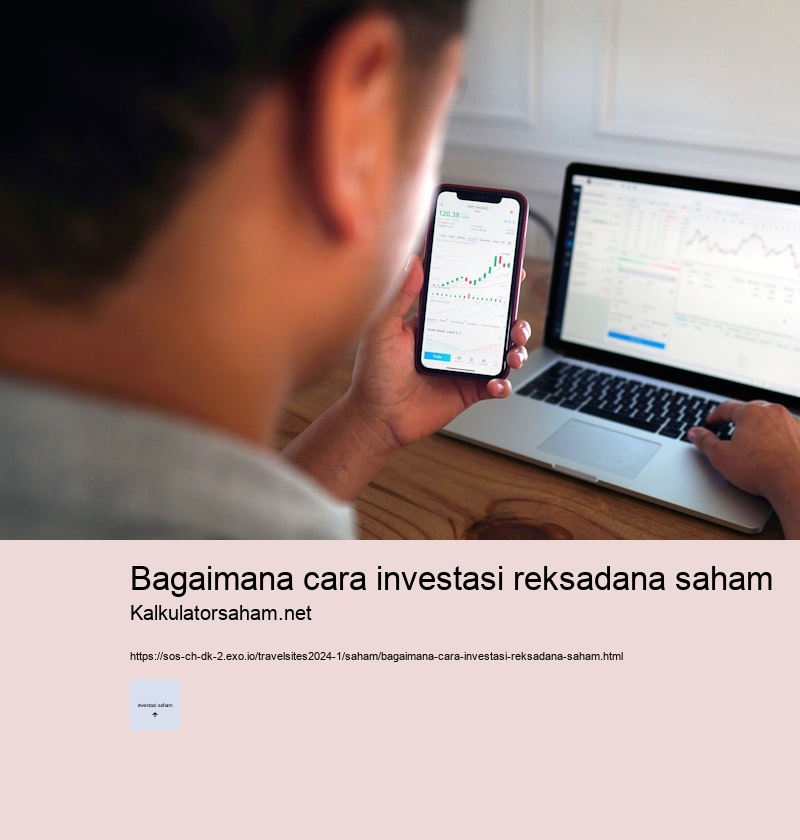 bagaimana cara investasi reksadana saham