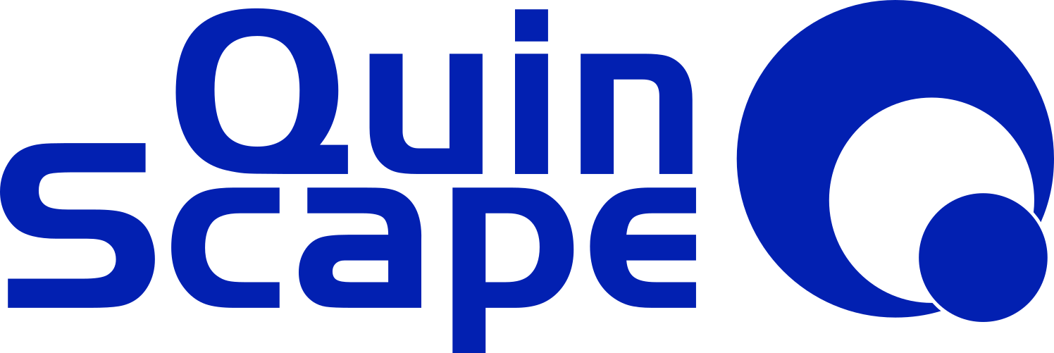 QuinScape, Beratung für digitale Transformation