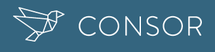 Consor AG