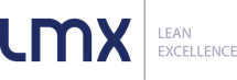 LMX Business Consulting GmbH