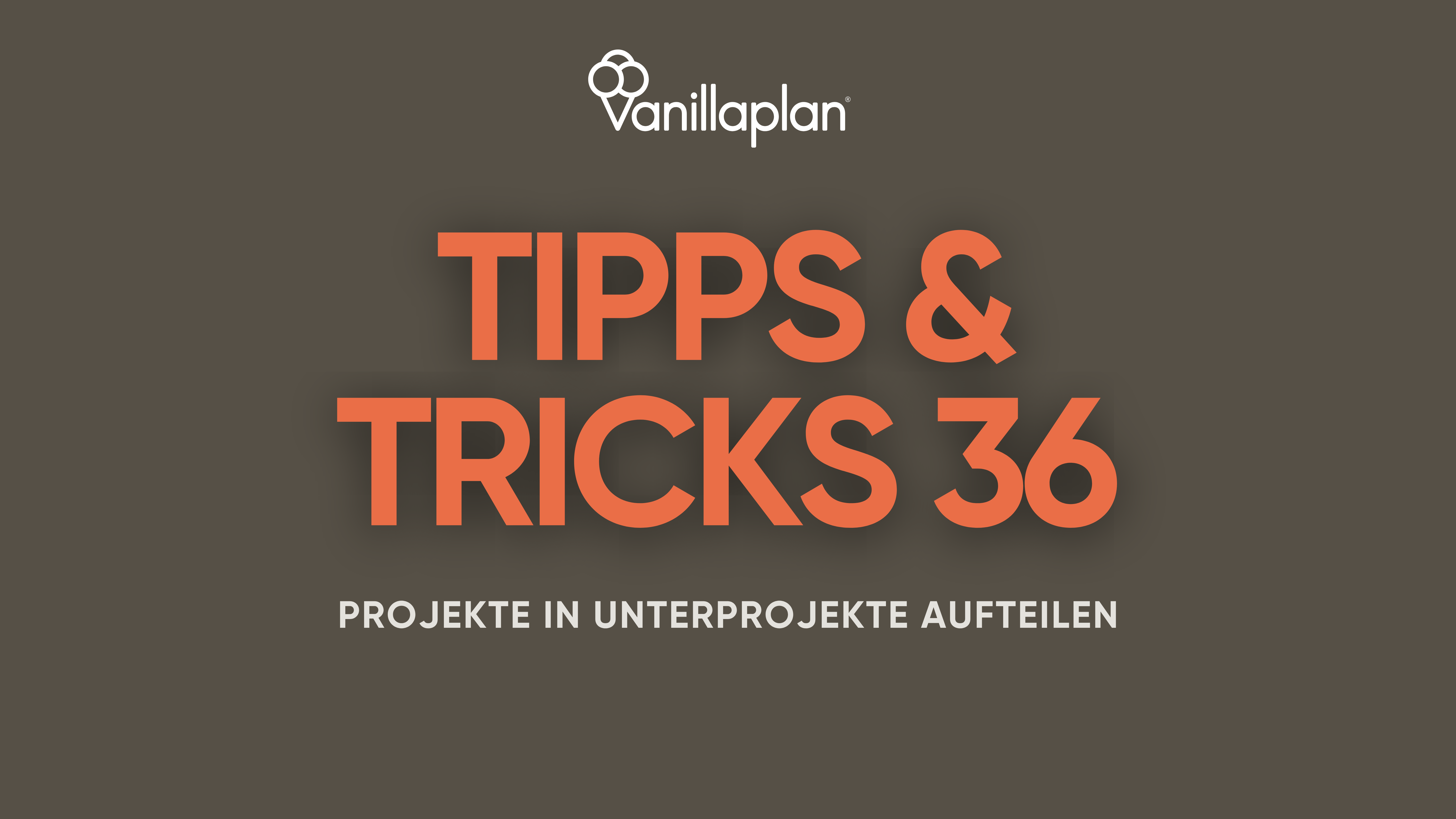 Tipps und Tricks in Vanillaplan - so teilst du Projekte in Unterprojekte auf