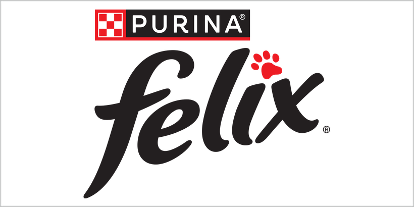 Bild von Felix