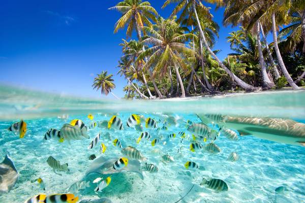Еntdecken Sie das Paradies: Eine Reise durch Französisch-Polynesien