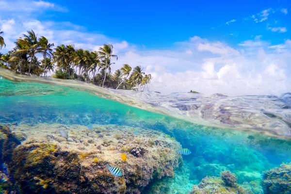 Entdecken Sie Guadeloupe: Die Top 10 Sehenswürdigkeiten der Schmetterlingsinsel