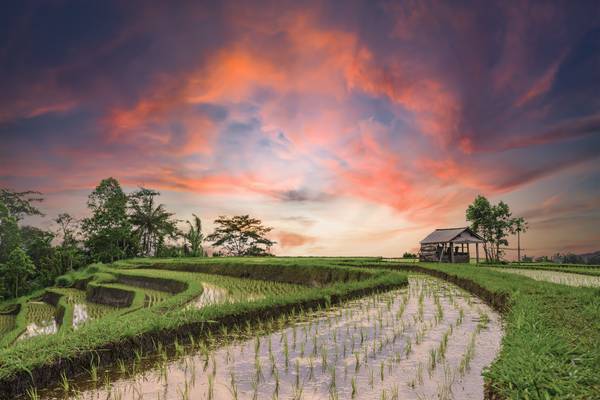 Bali Entdecken: Ein Insider-Guide zu Highlights und kulturellen Geheimnissen